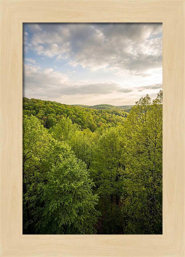 Spring Green Serenity