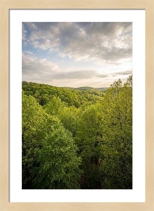 Spring Green Serenity