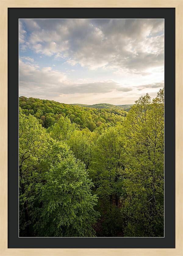 Spring Green Serenity