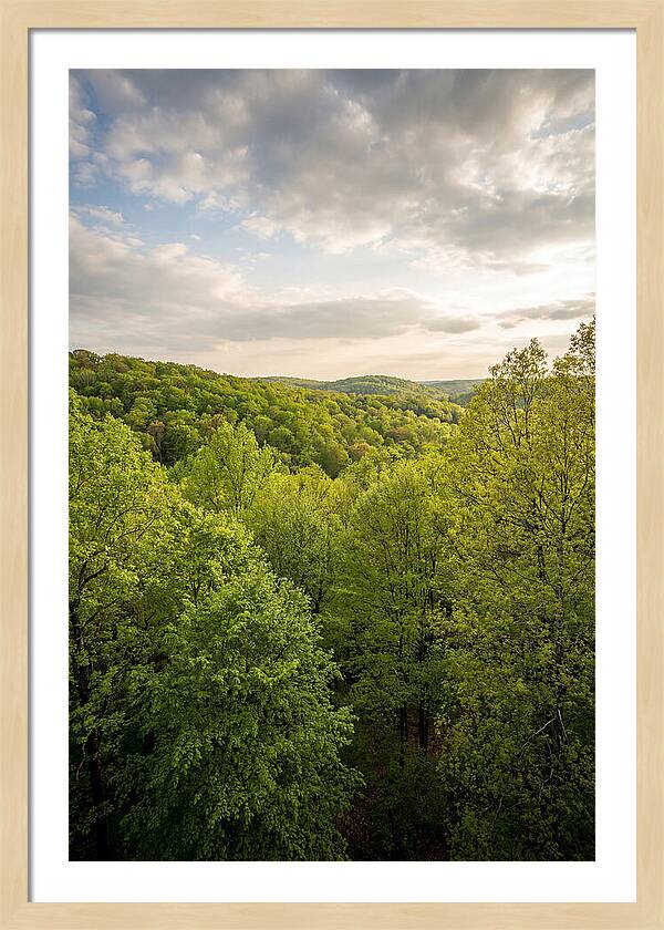 Spring Green Serenity