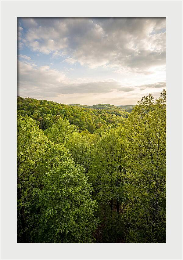 Spring Green Serenity
