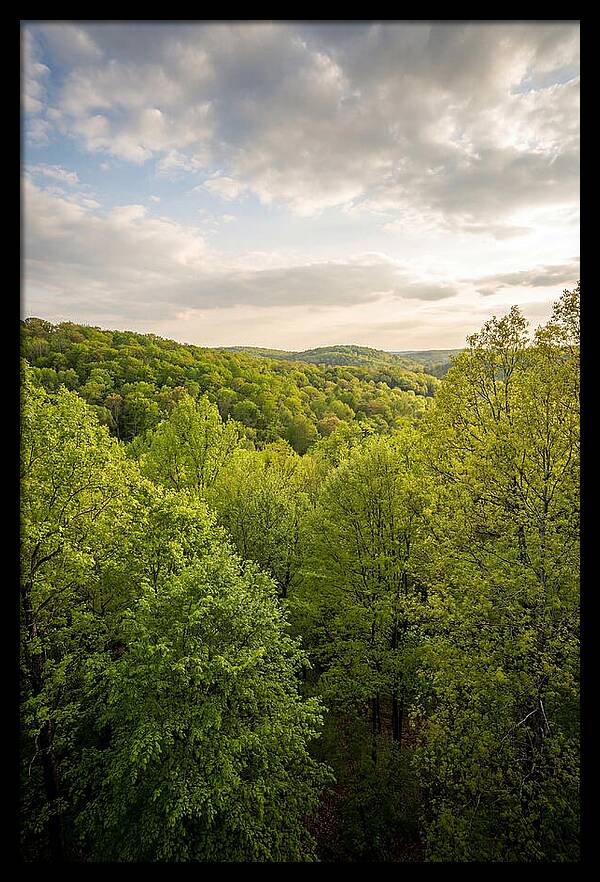 Spring Green Serenity