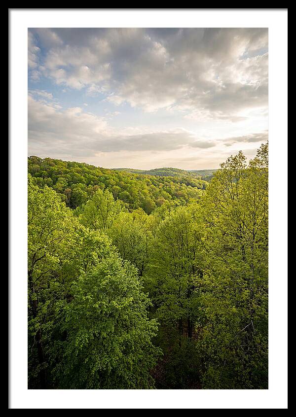 Spring Green Serenity