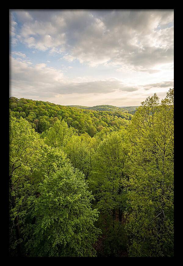Spring Green Serenity