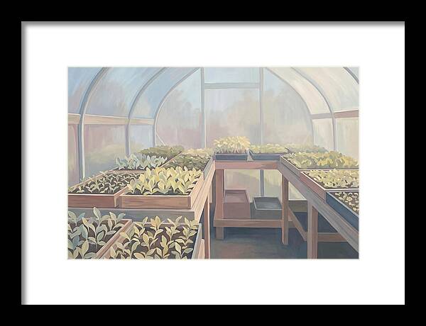 Spring Greenhouse Seedlings