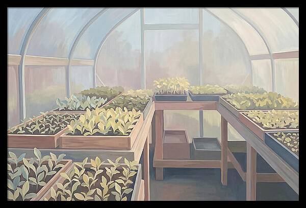 Spring Greenhouse Seedlings