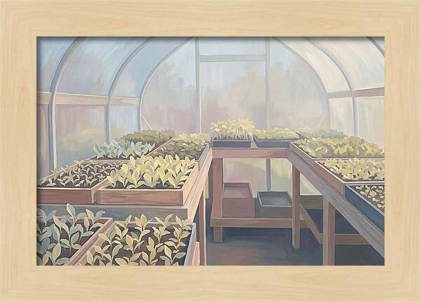 Spring Greenhouse Seedlings