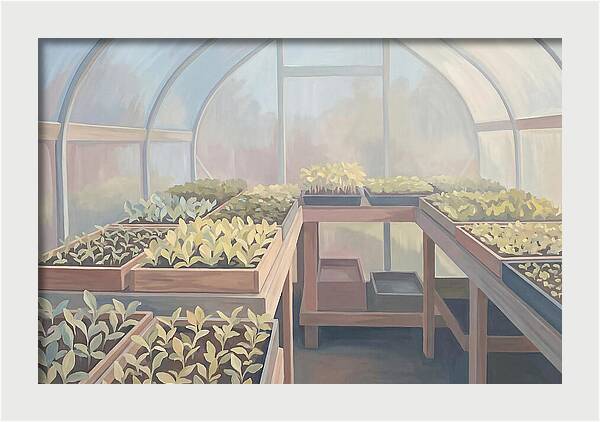 Spring Greenhouse Seedlings