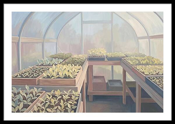 Spring Greenhouse Seedlings