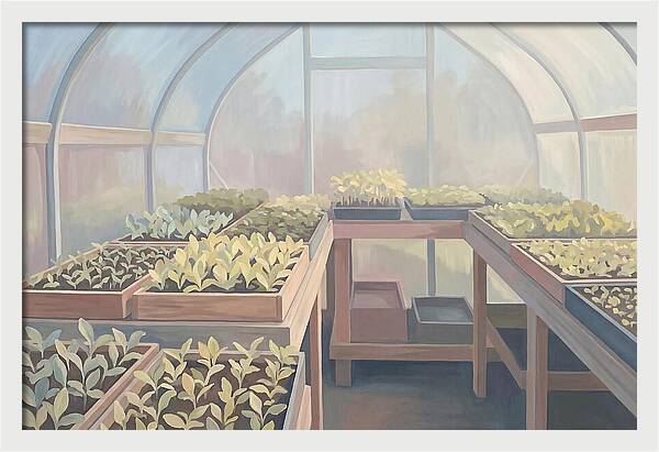 Spring Greenhouse Seedlings