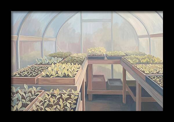 Spring Greenhouse Seedlings