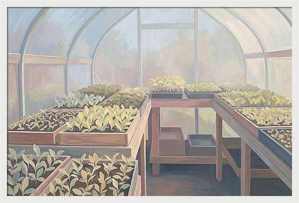 Spring Greenhouse Seedlings