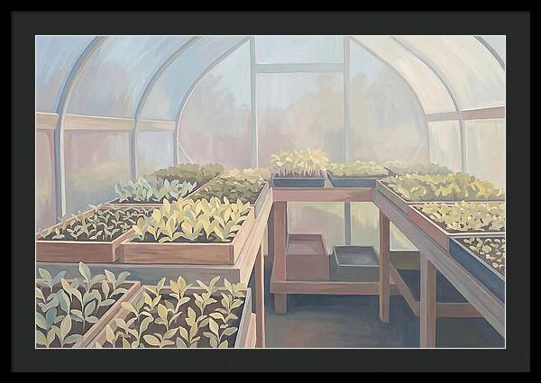Spring Greenhouse Seedlings