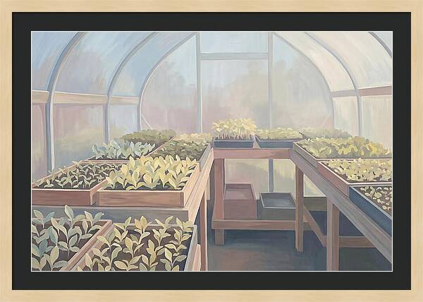 Spring Greenhouse Seedlings