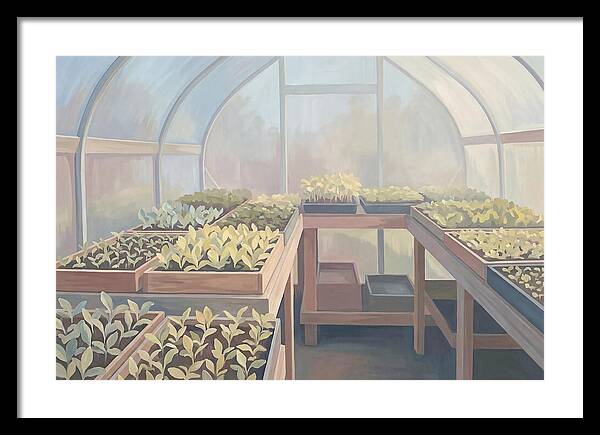 Spring Greenhouse Seedlings