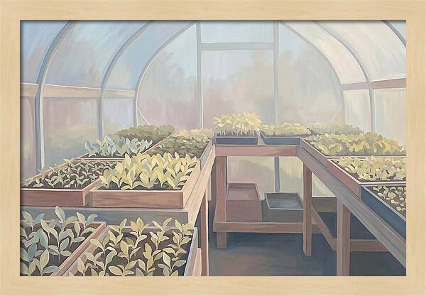 Spring Greenhouse Seedlings