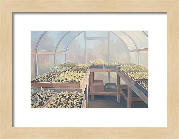 Spring Greenhouse Seedlings
