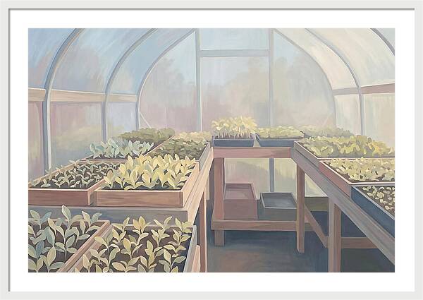 Spring Greenhouse Seedlings