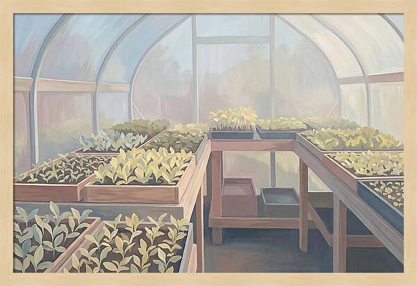 Spring Greenhouse Seedlings