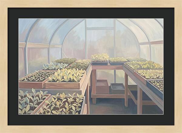 Spring Greenhouse Seedlings
