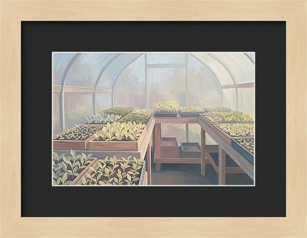 Spring Greenhouse Seedlings