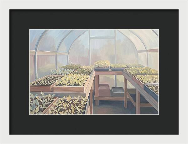 Spring Greenhouse Seedlings