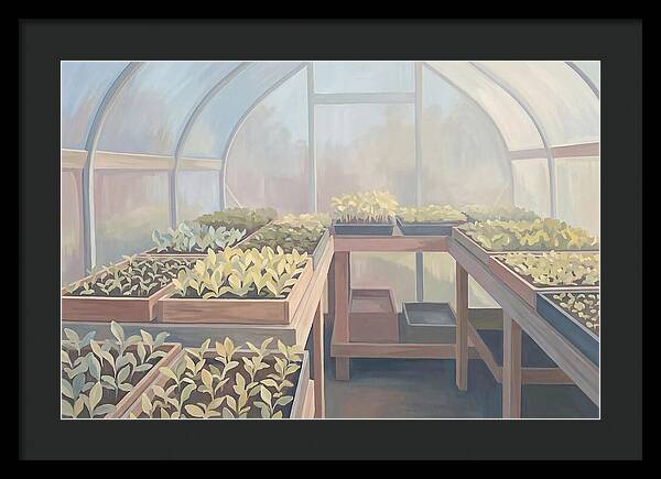Spring Greenhouse Seedlings