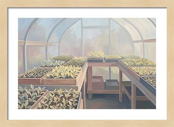 Spring Greenhouse Seedlings