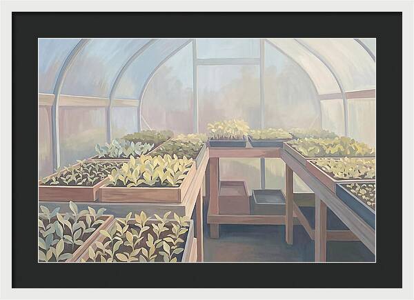 Spring Greenhouse Seedlings