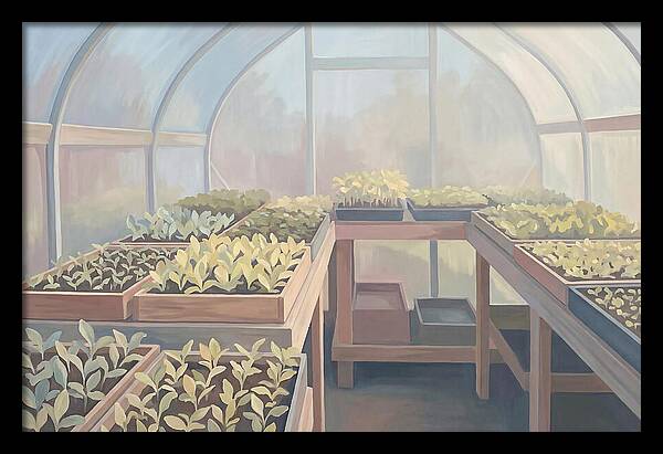 Spring Greenhouse Seedlings