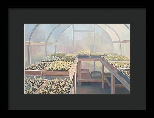 Spring Greenhouse Seedlings