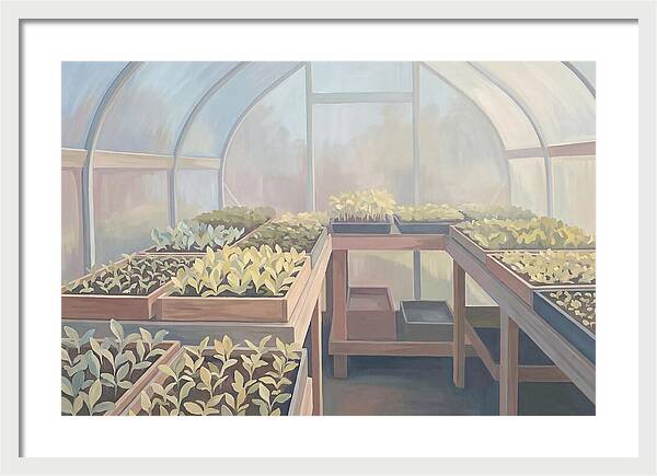 Spring Greenhouse Seedlings
