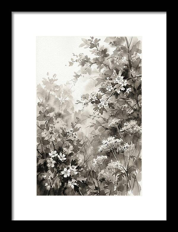 Spring Hedgerow With May Blossom