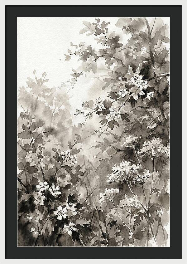 Spring Hedgerow With May Blossom