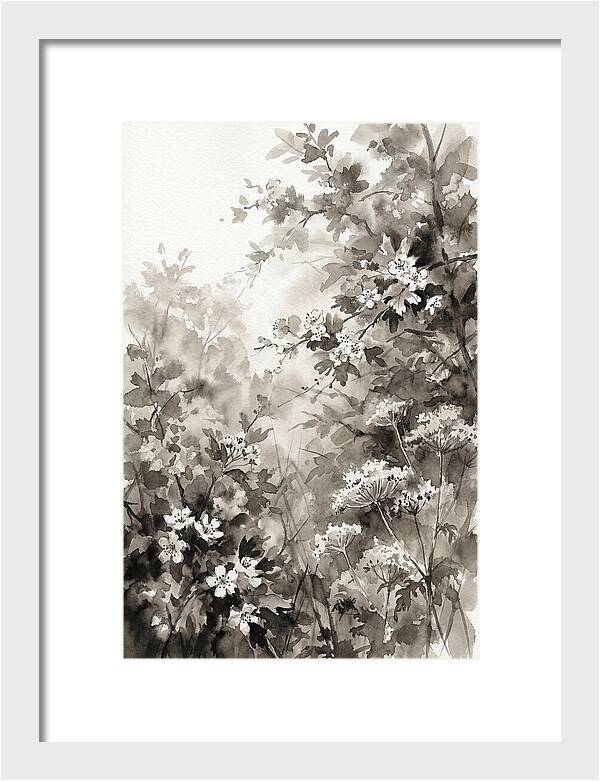 Spring Hedgerow With May Blossom