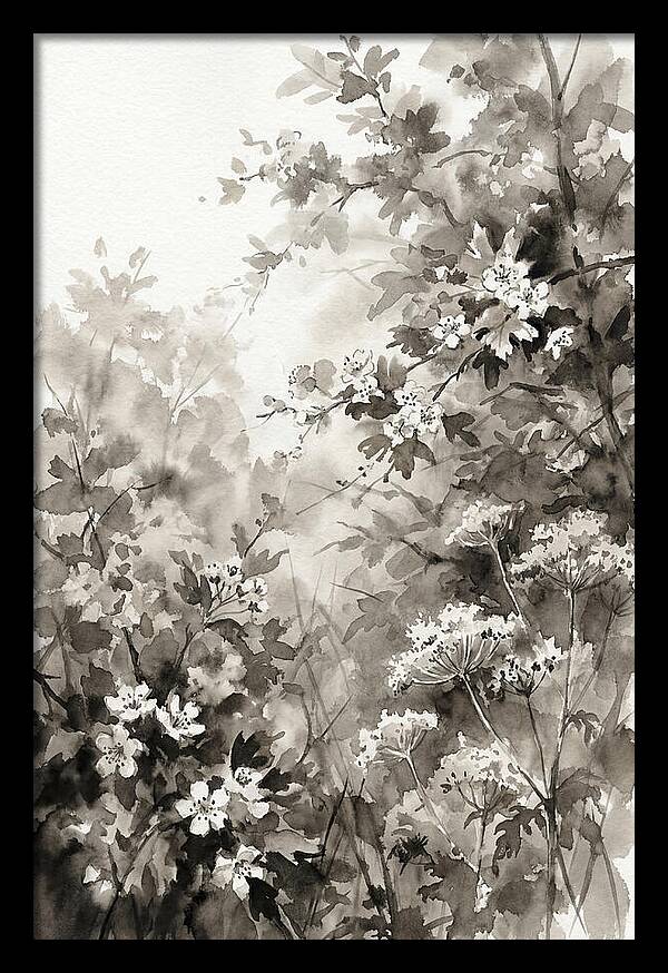Spring Hedgerow With May Blossom