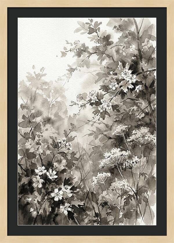 Spring Hedgerow With May Blossom