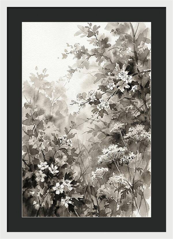 Spring Hedgerow With May Blossom