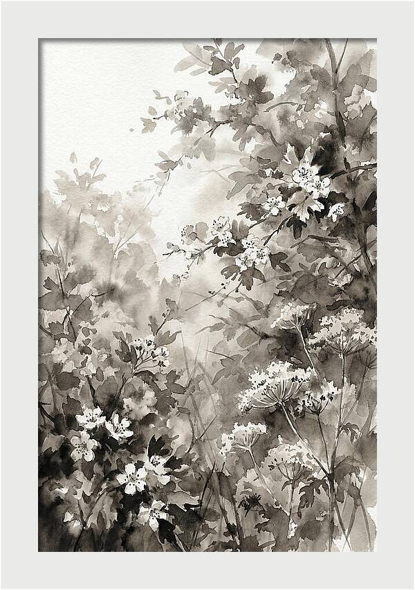 Spring Hedgerow With May Blossom