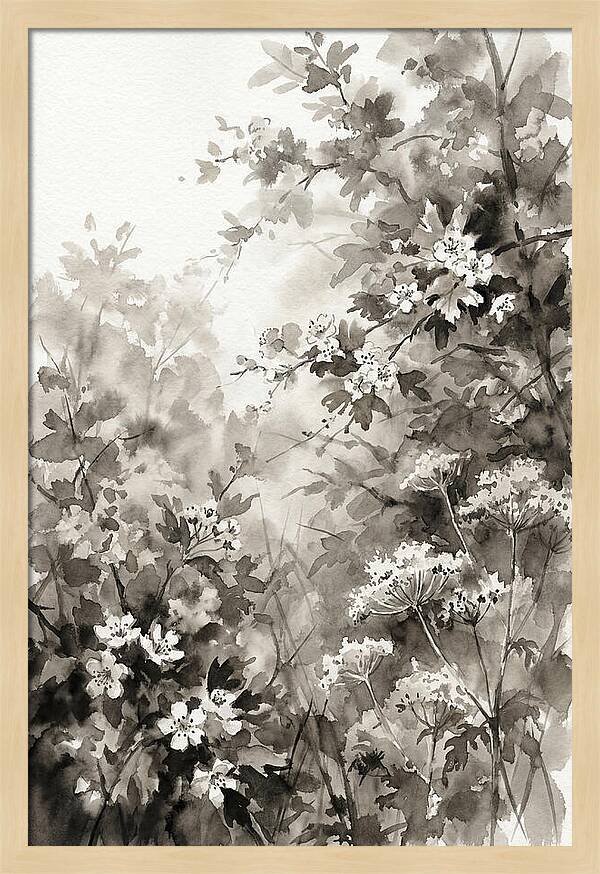 Spring Hedgerow With May Blossom