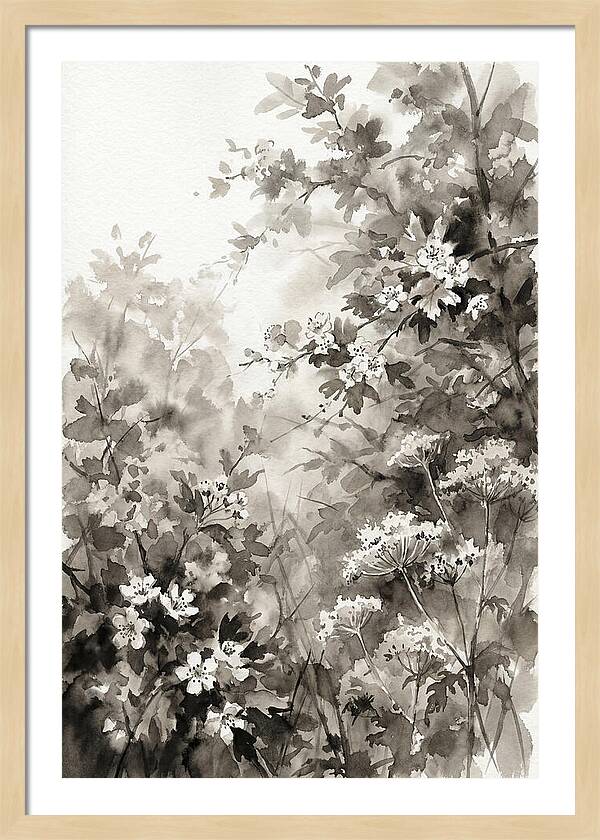 Spring Hedgerow With May Blossom