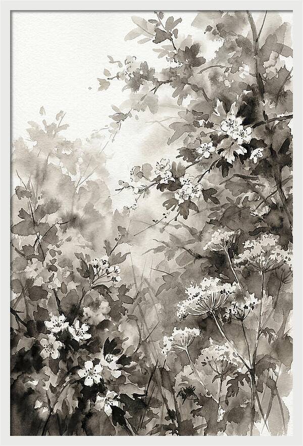 Spring Hedgerow With May Blossom