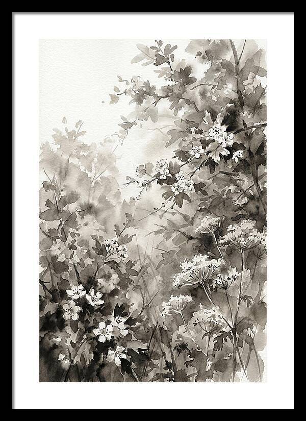Spring Hedgerow With May Blossom