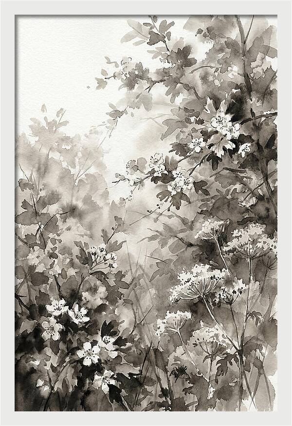 Spring Hedgerow With May Blossom