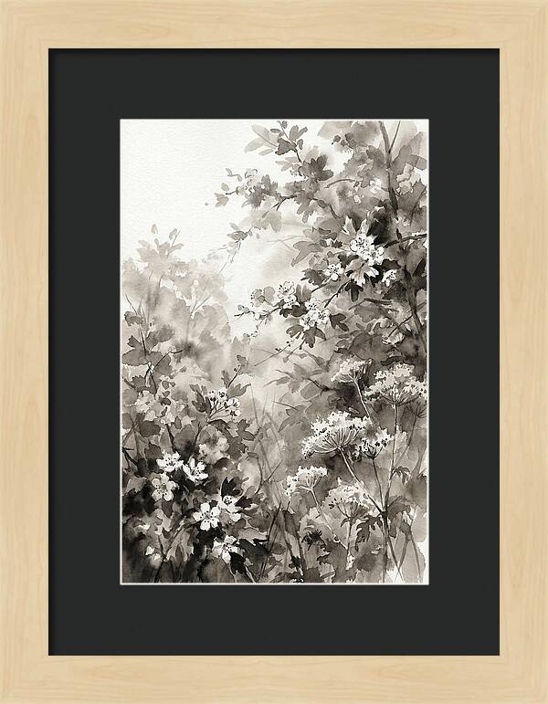 Spring Hedgerow With May Blossom