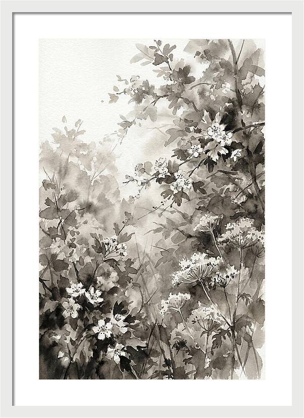 Spring Hedgerow With May Blossom