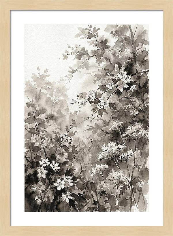 Spring Hedgerow With May Blossom