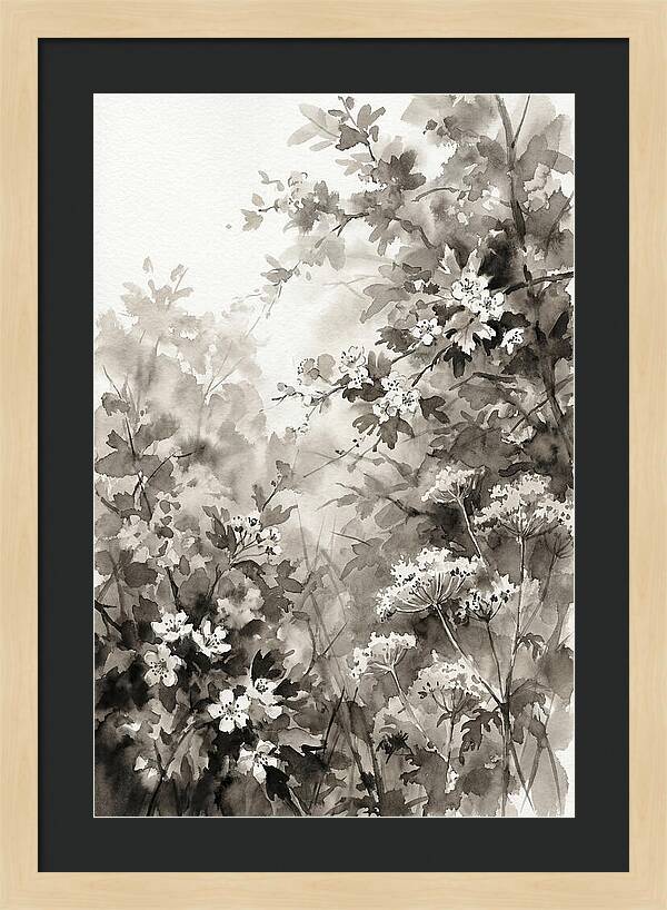 Spring Hedgerow With May Blossom