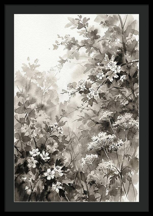 Spring Hedgerow With May Blossom