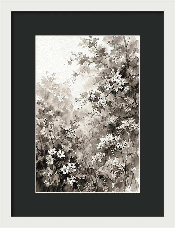 Spring Hedgerow With May Blossom